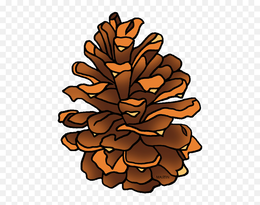 Clipart Pine Cone - Cartoon Pine Cone Png Emoji,Pinecone Emoji