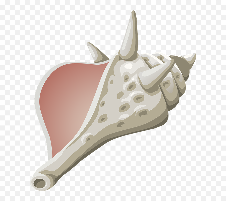 Conch Shell Seashell - Lord Of The Flies Png Emoji,Conch Shell Emoji