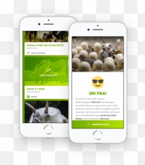 Scavenger Hunts Games - Iphone Emoji
