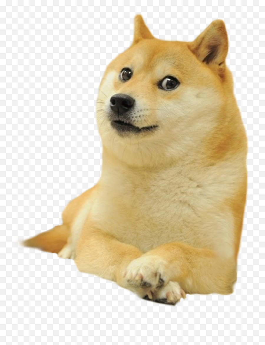 The French Superheavyline Leak - Doge With White Background Emoji,Wot Emoji