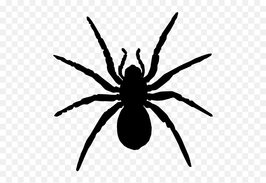 Dangerous Spider Sticker Emoji,Spider Emoji