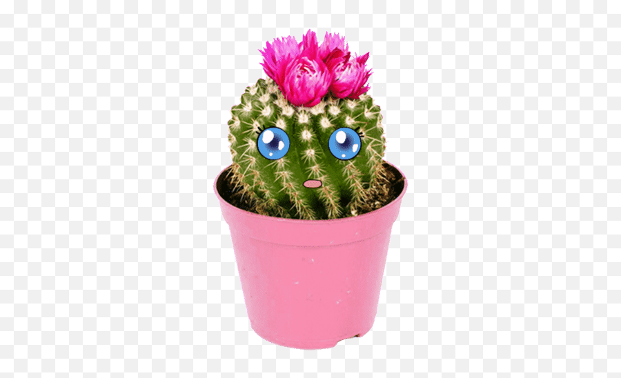 Top Disney Go Fuck Yourself With A Cactus Stickers For - Transparent Cactus Flowers Gif Emoji,Cactus Emoji