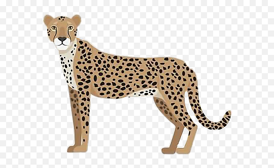 Tigre Leopardo Cheetah Print Animalprint Animal Fauna - Predatory Animals Emoji,Cheetah Emoji