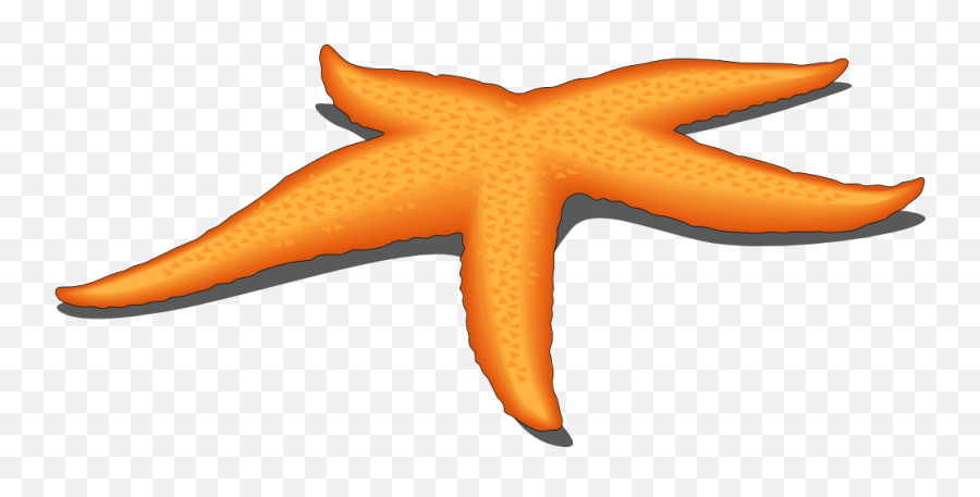 Free Starfish Cliparts - Fish Star Vector Png Emoji,Starfish Emoji