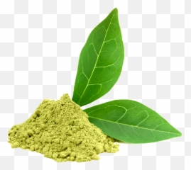 Download Green Tea Photos Hq Png Image - Green Tea Camellia Sinensis Leaf Extract Emoji,Green Tea Emoji