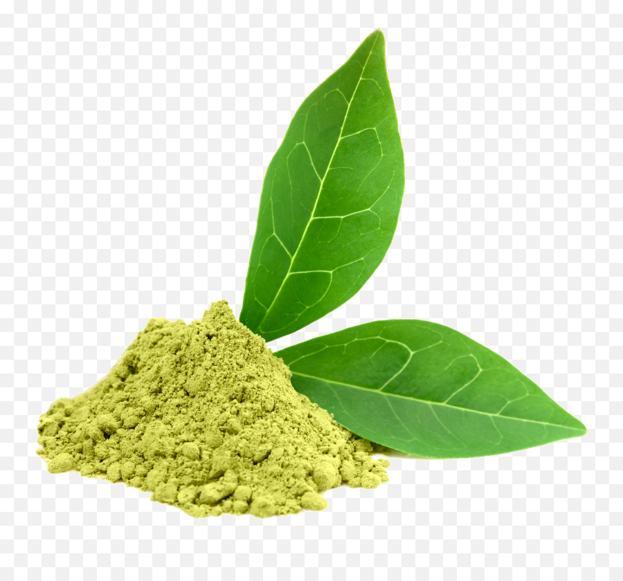 Download Green Tea Photos Hq Png Image - Green Tea Camellia Sinensis Leaf Extract Emoji,Green Tea Emoji