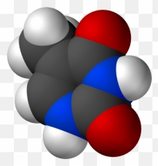 Thymine - Thymine 3 D Emoji,3d Animations Emoji
