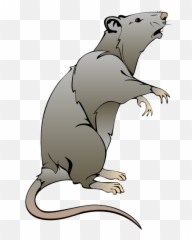 Rat Clipart No Background - Rat Clipart Emoji,Rat Emoji