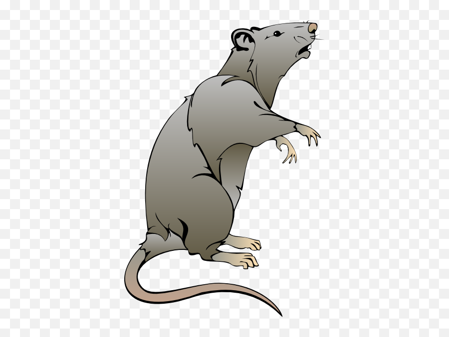 Rat Clipart No Background - Rat Clipart Emoji,Rat Emoji