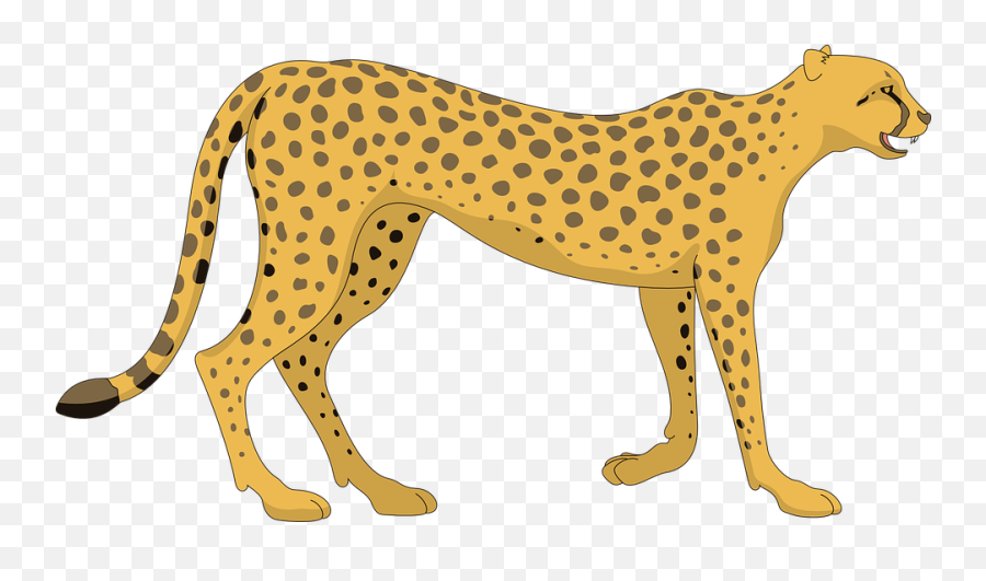 Cheetah Stripes Png Picture - Cheetah Clipart Emoji,Cheetah Emoji
