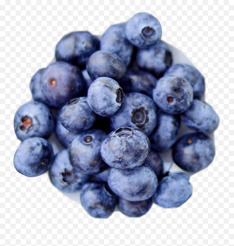 Popular And Trending Blueberries Stickers On Picsart - Blueberry Emoji,Is There A Blueberry Emoji