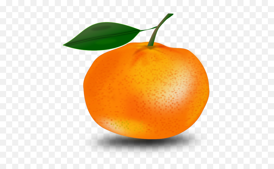 Oranje En Blad - Orange With A Leaf Emoji,Boom Emoji