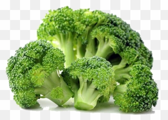 Free Broccoli Transparent Download - Transparent Background Broccoli Png Emoji,Cauliflower Emoji