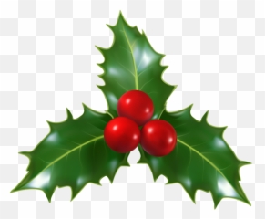 Mistletoe Gold Transparent Png Clipart Free Download - Holly With Transparent Background Emoji,Mistletoe Emoji