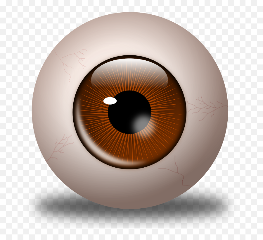 Vector Eyeball Animal Eye Transparent U0026 Png Clipart Free - Olho Castanho Png Emoji,Bloodshot Eyes Emoji