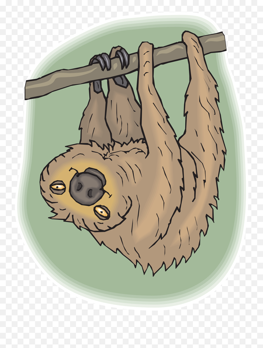 Sloth Happy Face Tree Branch - Amazon Rainforest Animals Colouring Emoji,Thinking Emoji