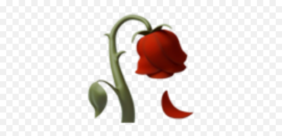Flower Emoji Red Tumblr Beautiful - Wilted Flower Emoji Apple,Flower Emoji Facebook