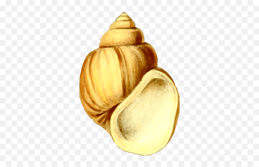 Yellow Shell Drawing - Clipart Deniz Kabuu Emoji,Conch Shell Emoji