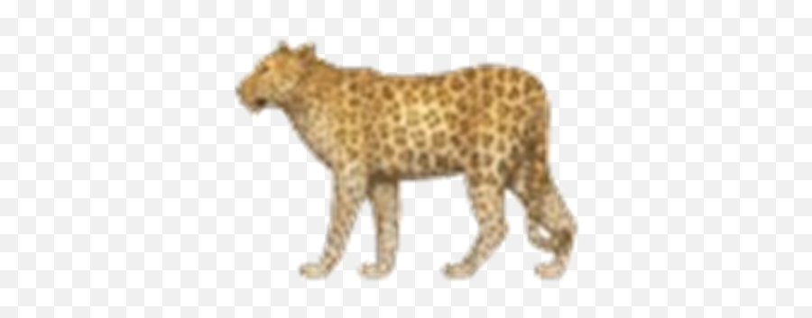 Leopard Emoji - Leopard Emoji,Cheetah Emoji
