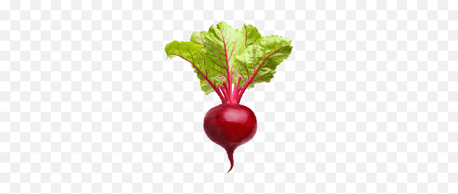 Vegetable Gif Tumblr Radish Gif - Lowgif Beet Root Transparent Gif Emoji,Radish Emoji