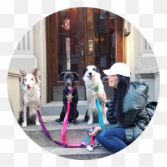 The Story Of - Dog Catches Something Emoji,Guess The Emoji Dog And Bone