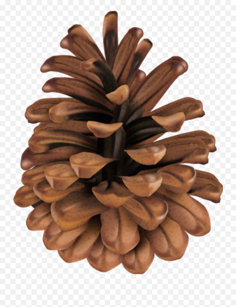 Pinecone Nature Brown - Clip Art Pine Cone Emoji,Pinecone Emoji
