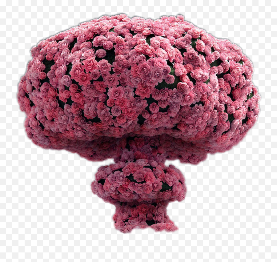 Flower Nuke Flowerbomb Pinkflower Roses - Raspberry Emoji,Brain Explosion Emoji