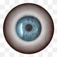 Uncategorized Archives u2013 Page 5 of 7 Action 4 - Circle Emoji