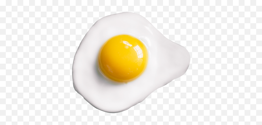 Beijing Bird Nest Guide Egg Png - Transparent Fried Egg Png Emoji,Fried Egg Emoji