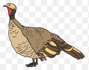 Clipart Free Black And White Clipart - Wild Turkey Clipart Emoji,Turkey Emoticons
