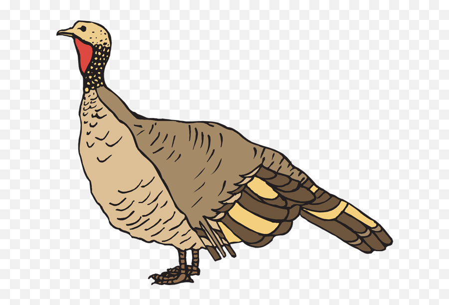 Clipart Free Black And White Clipart - Wild Turkey Clipart Emoji,Turkey Emoticons