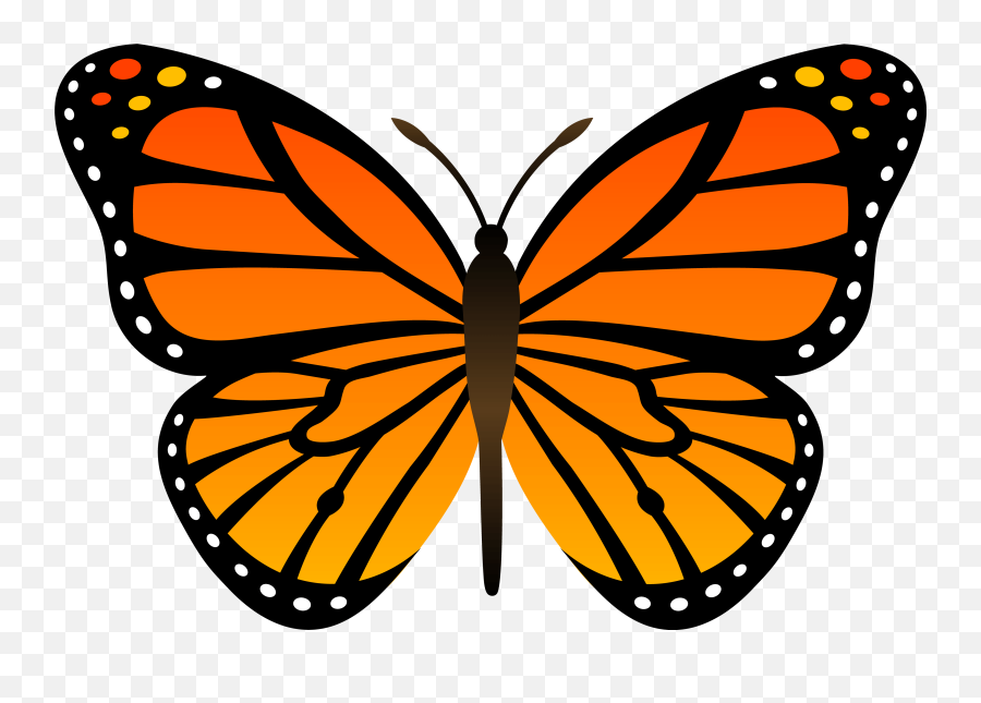 Butterfly Emoji Png 8 Png Image - Monarch Butterfly Drawing Easy,Butterfly Emoji