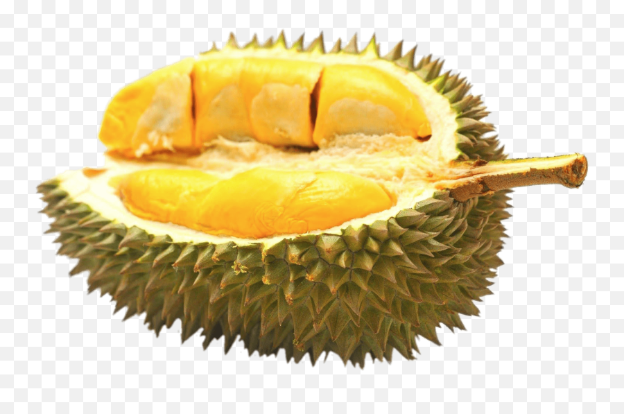 Fruits Half Transparent Png Clipart - Durian Png Emoji,Durian Emoji