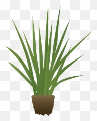 Agr Emojis Final 4 - Baby Dragon Tree Plant,Plant Emoji