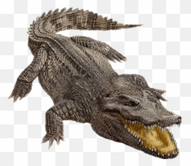 Trending Alligator Stickers - Crocodile Clipart Emoji,Alligator Emoji