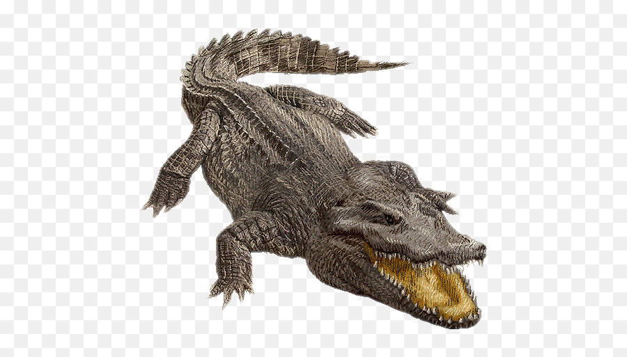 Trending Alligator Stickers - Crocodile Clipart Emoji,Alligator Emoji