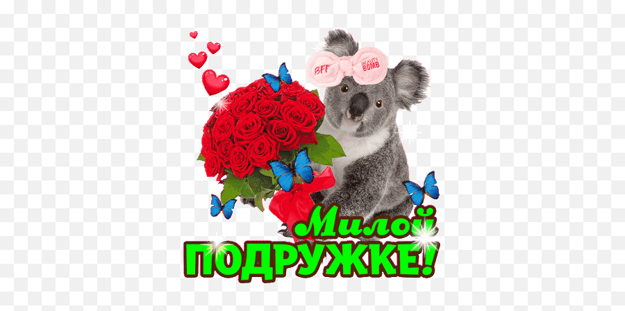 Koala Joey Stickers For Android Ios - Floribunda Emoji,Koala Emoticons
