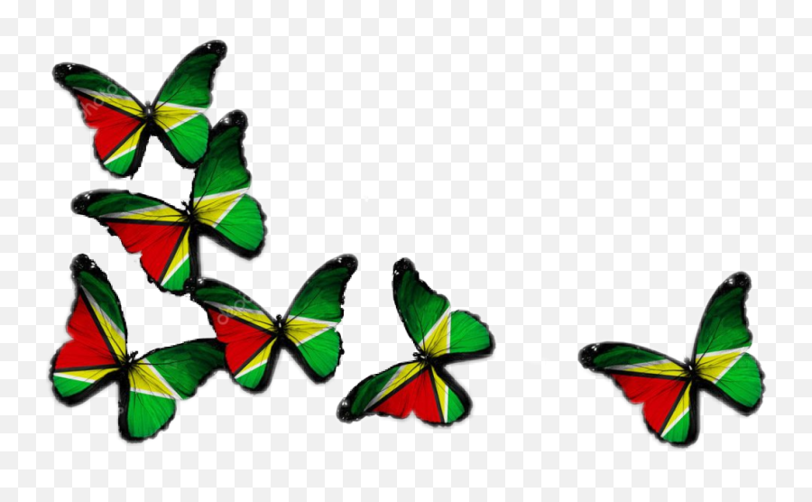 Guyana Butterfly - Independence Of Kosovo Drawings Emoji,Guyana Emoji