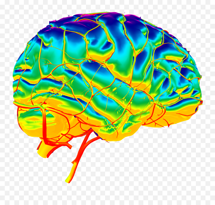Brain Organism - Brain Png Download 27492238 Free Cerebro Png Emoji,Fez Emoji