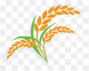 Rice Clipart Rice Leaf Rice Rice Leaf Transparent Free For - Clipart Rice Plant Png Emoji,Wheat Emoji