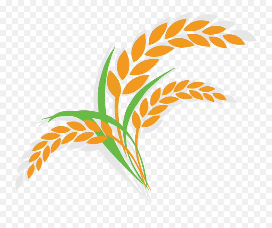 Rice Clipart Rice Leaf Rice Rice Leaf Transparent Free For - Clipart Rice Plant Png Emoji,Wheat Emoji