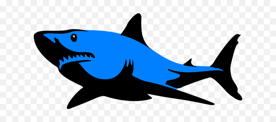 80 Free Jaws U0026 Shark Illustrations - Pixabay Silhouette Great White Shark Clipart Emoji,Skull Fish Fish Emoji