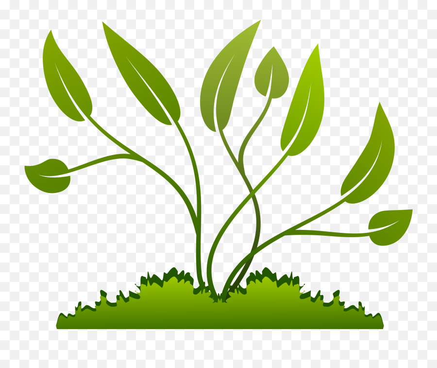Plants Growing Out Of The Ground Vector Clipart Image - Plants Clipart Png Emoji,Question Mark In A Box Emoji