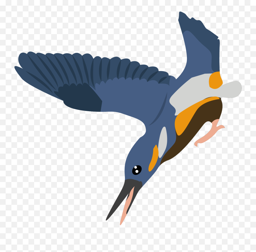 Alcedinidae Bird Flaying Dawn Animal - Coraciiformes Emoji,Turtle Bird Emoji