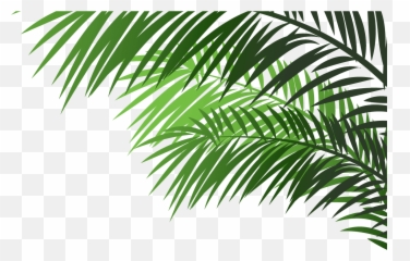 Choco Treasure Poo Crew - Palm Tree Branches On Transparent Emoji