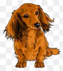 194 Best Dachshund Digital Art Images - Long Haired Dachshund Clipart Emoji,Guess The Emoji Dog And Bone