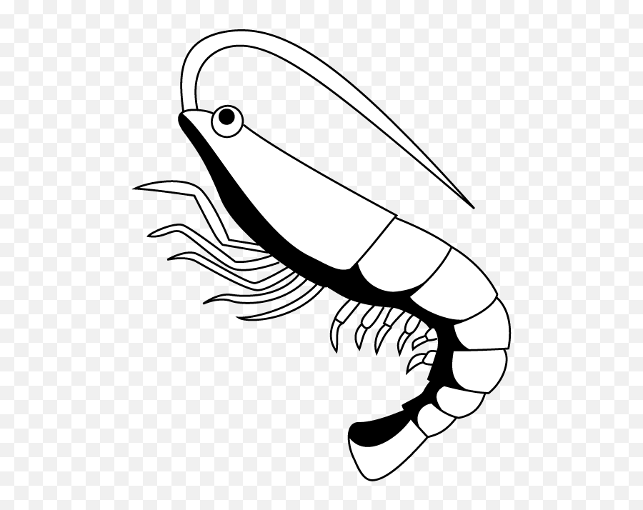 Shrimp Clip Art Related Keywords - Clipartix Shrimp Clipart Black And White Emoji,Shrimp Emoji