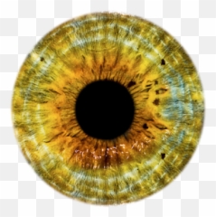 Eyes Png And Vectors For Free Download - Dlpngcom Gray Eye Lens Png Emoji,Bloodshot Eyes Emoji