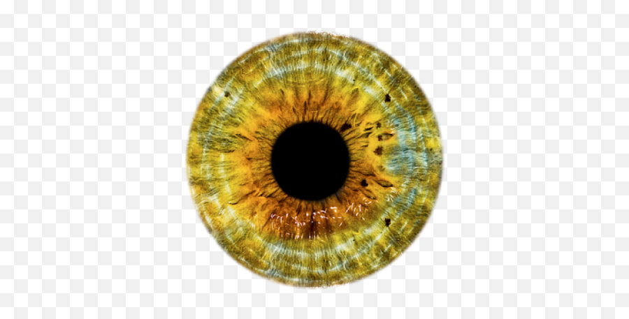 Eyes Png And Vectors For Free Download - Dlpngcom Gray Eye Lens Png Emoji,Bloodshot Eyes Emoji