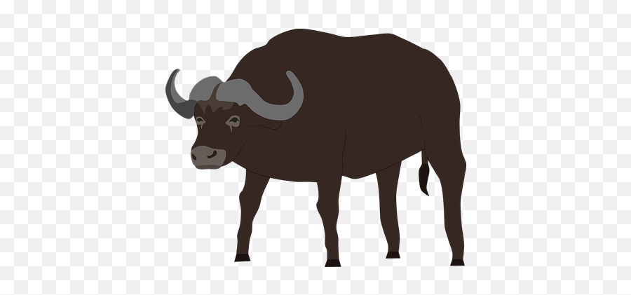 Over 100 Free Buffalo Vectors - Animal Figure Emoji,Buffalo Emoji